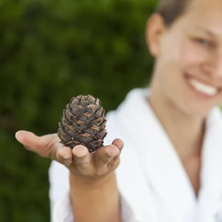 Krumers Alpin - Your Mountain Oasis