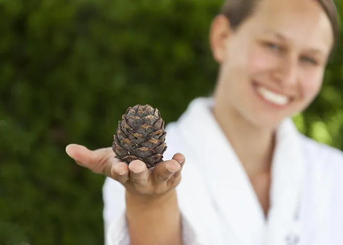 Krumers Alpin - Your Mountain Oasis